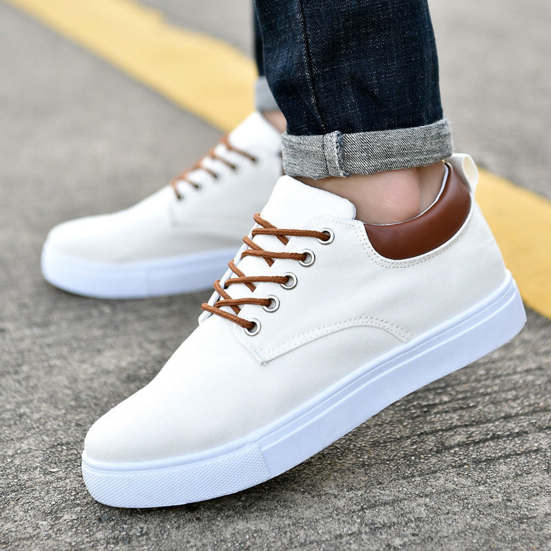 Canvas Sneakers for Men