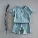 Summer Baby Boy Set: Short Sleeve Top & Shorts